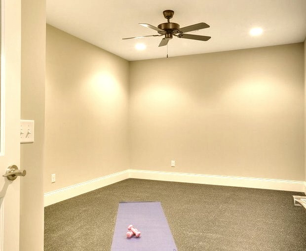 Transitional Home Gym in Minneapolis