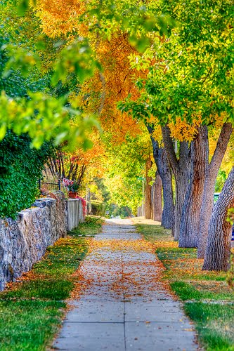 Autumn Street, Helena, Montana